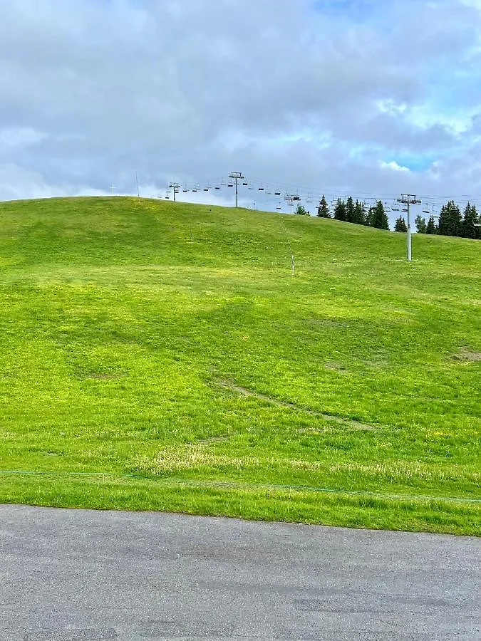 Апартаменты Grand Studio Aux Pieds Des Pistes Sans Vis A Vis Ле-Гет Франция